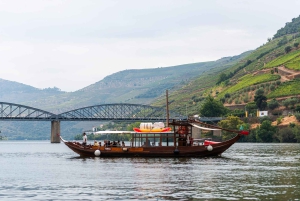 Porto: Dourovallei, 2 wijnhuizen, lunch & privéboottocht