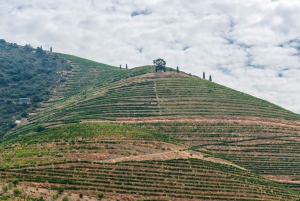 Porto: Dourovallei, 2 wijnhuizen, lunch & privéboottocht