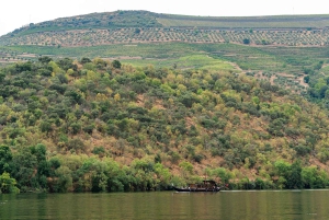 Porto: Dourovallei, 2 wijnhuizen, lunch & privéboottocht