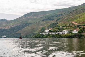 Porto: Dourovallei, 2 wijnhuizen, lunch & privéboottocht