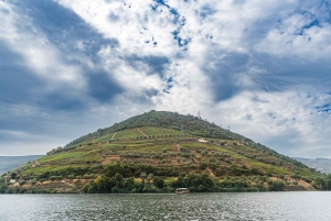 Porto: Dourovallei, 2 wijnhuizen, lunch & privéboottocht