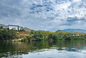 Porto: Dourovallei, 2 wijnhuizen, lunch & privéboottocht