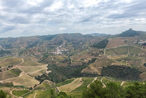 Porto: Dourovallei, 2 wijnhuizen, lunch & privéboottocht