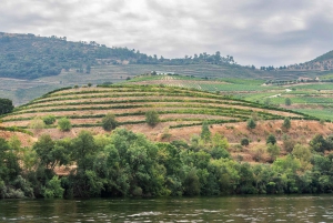 Porto: Dourovallei, 2 wijnhuizen, lunch & privéboottocht