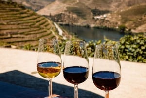 Porto: Tour enogastronomico della Valle del Douro e di Amarante