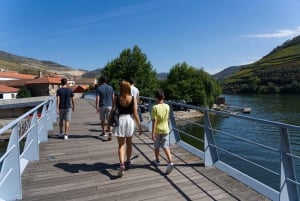 Porto: Tour enogastronomico della Valle del Douro e di Amarante