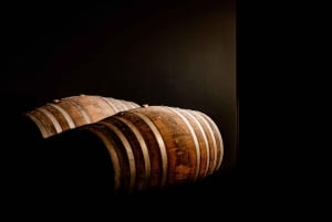 Porto: Tour enogastronomico della Valle del Douro e di Amarante