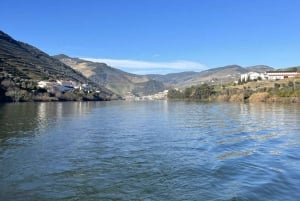 Porto: Tour enogastronomico della Valle del Douro e di Amarante