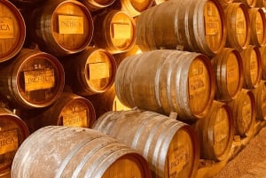 Porto: Tour enogastronomico della Valle del Douro e di Amarante