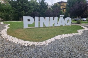 Porto: Premiumtur i Dourodalen i liten grupp, kryssning och lunch