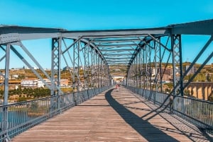 Porto: Premiumtur i Dourodalen i liten grupp, kryssning och lunch