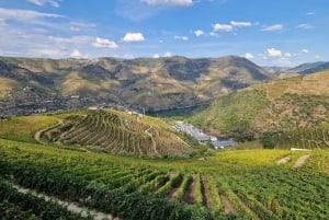 Porto: Premiumtur i Dourodalen i liten grupp, kryssning och lunch