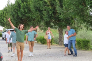 Porto: Premiumtur i Dourodalen i liten grupp, kryssning och lunch