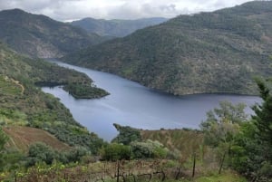 Porto: Premiumtur i Dourodalen i liten grupp, kryssning och lunch