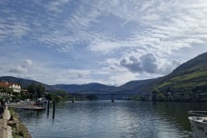 Porto: Premiumtur i Dourodalen i liten grupp, kryssning och lunch