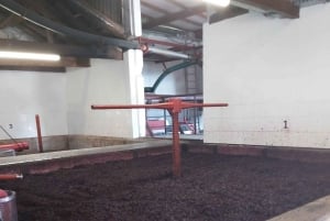 Porto: Premiumtur i Dourodalen i liten grupp, kryssning och lunch