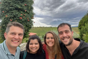 Porto: Premiumtur i Dourodalen i liten grupp, kryssning och lunch