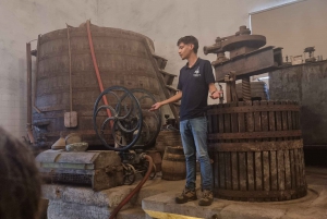 Porto: Premiumtur i Dourodalen i liten grupp, kryssning och lunch