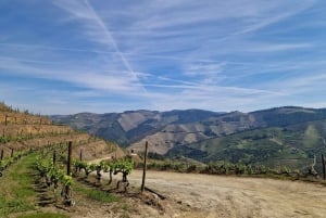 Porto: Premiumtur i Dourodalen i liten grupp, kryssning och lunch