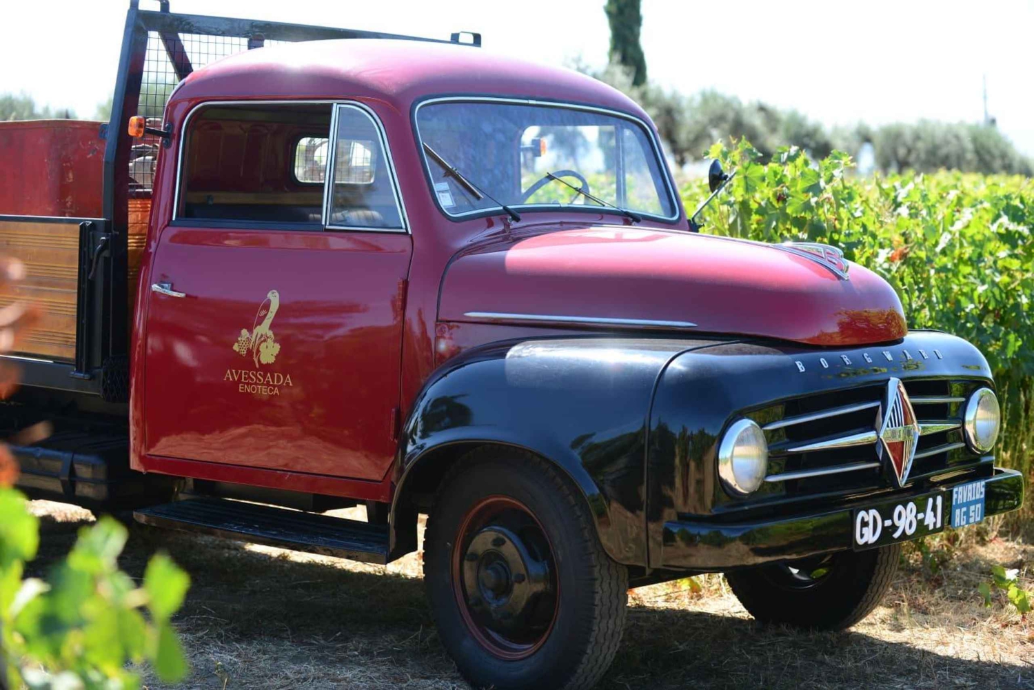 Porto : Excursion d'une journée dans la vallée du Douro avec déjeuner et village de Favaios