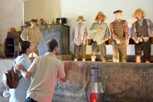 Porto : Excursion d'une journée dans la vallée du Douro avec déjeuner et village de Favaios