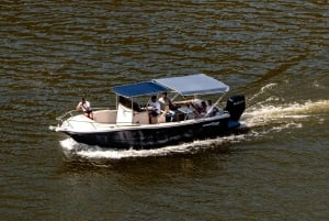 Porto: Heldagstur med båt, tog og lunsj i Douro-dalen