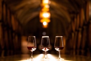 Porto: Heldagstur med båt, tog og lunsj i Douro-dalen