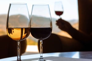 Porto: Heldagstur med båt, tog og lunsj i Douro-dalen