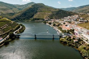 Porto: Heldagstur med båt, tog og lunsj i Douro-dalen