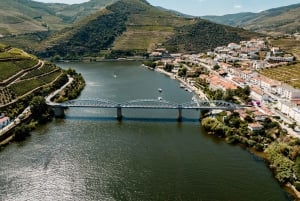Porto: Heldagstur med båt, tog og lunsj i Douro-dalen