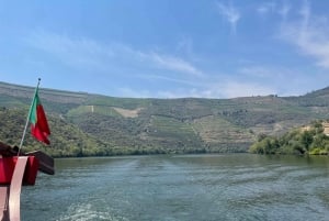 Porto: Tour della Valle del Douro con 3 degustazioni, pranzo e crociera facoltativa. Crociera