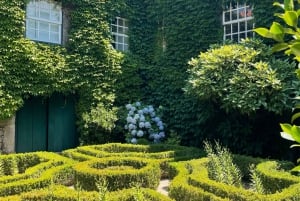 Porto: Tour della Valle del Douro con 3 degustazioni, pranzo e crociera facoltativa. Crociera