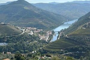 Porto: Tour della Valle del Douro con 3 degustazioni, pranzo e crociera facoltativa. Crociera