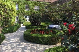 Porto: Tour della Valle del Douro con 3 degustazioni, pranzo e crociera facoltativa. Crociera