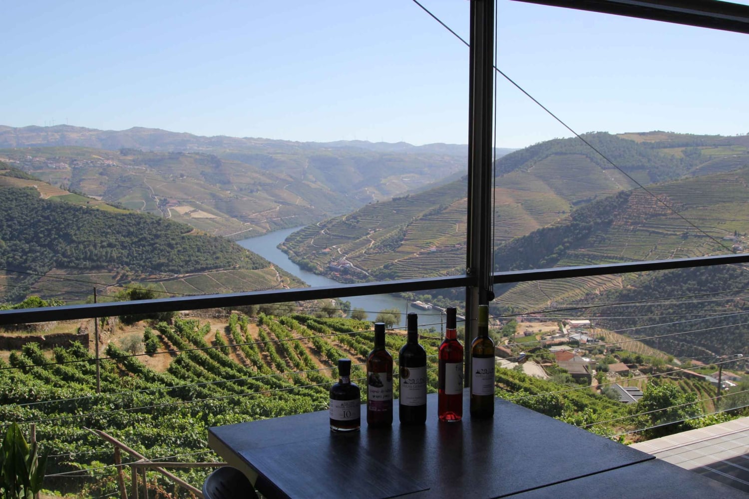 Porto: Douro Valley Half-Day Wine and Food Tour