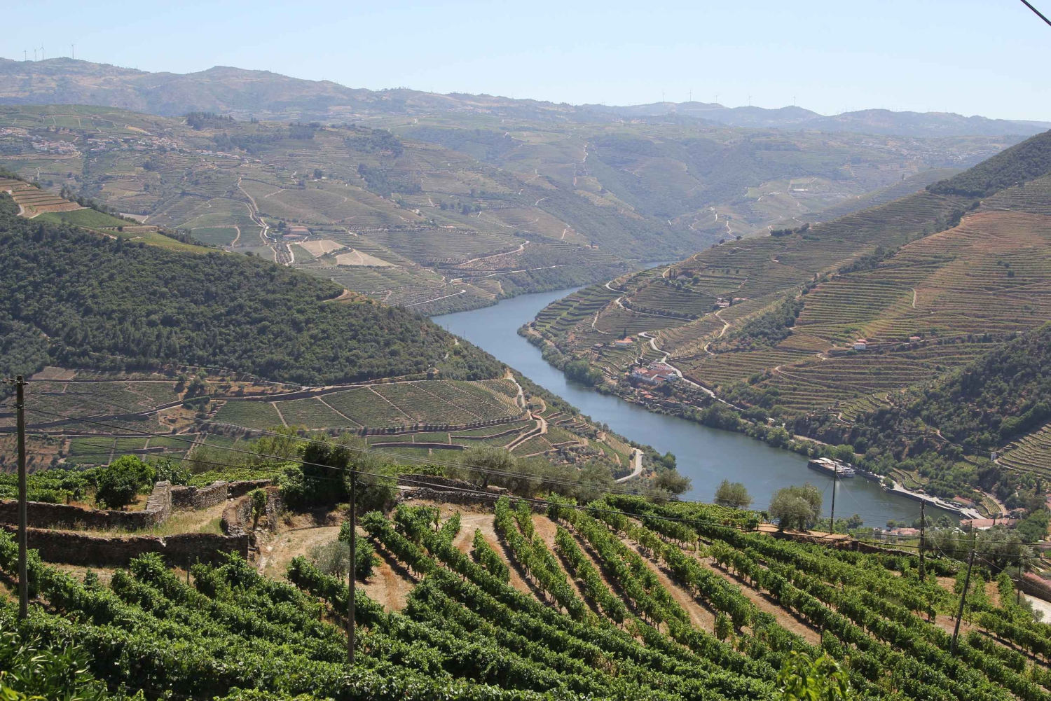 Porto: Douro Valley Half-Day Wine and Food Tour