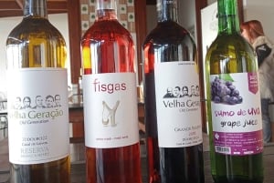 Porto - Dourodalen Halvdagsutflykt i Dourodalen med vin och matupplevelser