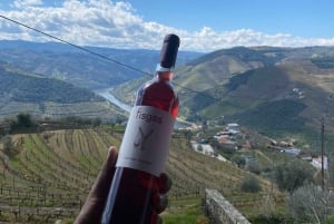 Porto - Dourodalen Halvdagsutflykt i Dourodalen med vin och matupplevelser