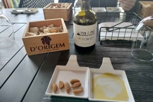 Porto - Dourodalen Halvdagsutflykt i Dourodalen med vin och matupplevelser