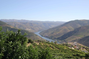 Porto: Douro Valley Half-Day Wine and Food Tour