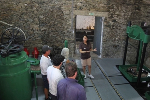 Porto: Douro Valley Half-Day Wine and Food Tour