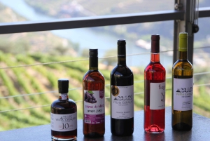 Porto: Douro Valley Half-Day Wine and Food Tour