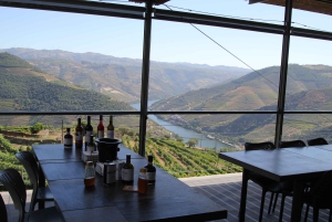 Porto: Douro Valley Half-Day Wine and Food Tour