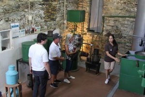 Porto: Douro Valley Half-Day Wine and Food Tour