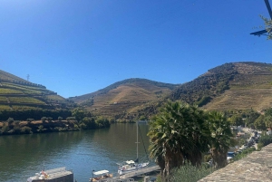 Porto: Douro Valley Half-Day Wine and Food Tour