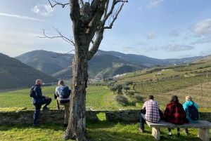 Долина Дору: 2 винодельни, обед на винодельне и 1 час на лодке