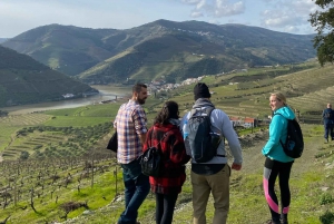 Долина Дору: 2 винодельни, обед на винодельне и 1 час на лодке