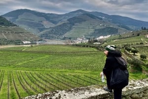 Долина Дору: 2 винодельни, обед на винодельне и 1 час на лодке