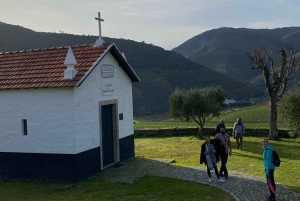 Долина Дору: 2 винодельни, обед на винодельне и 1 час на лодке