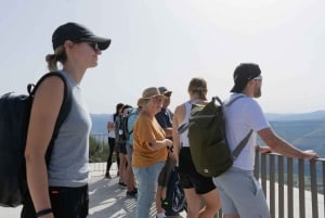 Долина Дору: 2 винодельни, обед на винодельне и 1 час на лодке